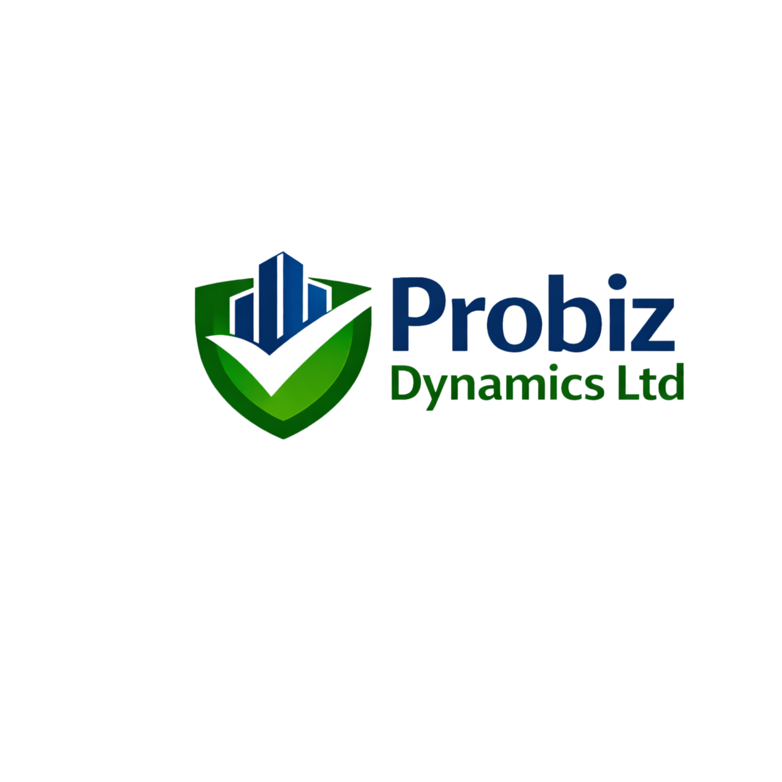 Probiz Dynamics Ltd